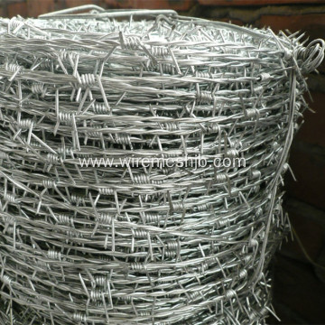 High Tensile Barbed Wire Double Strand Type